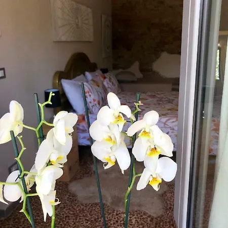 Vakantiehuis A Ca D' Carlin Canale